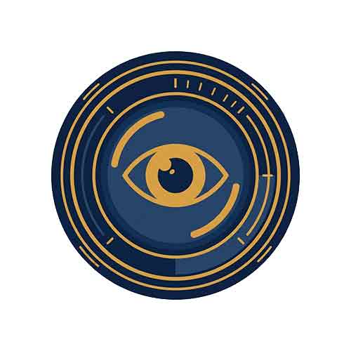 Surveillance services icon